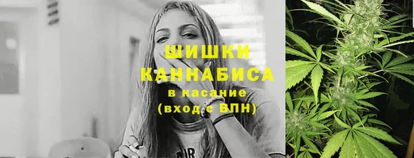 ПСИЛОЦИБИНОВЫЕ ГРИБЫ Богданович