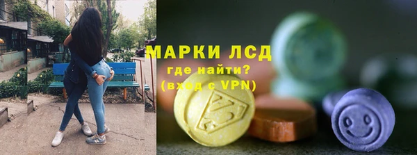 ПСИЛОЦИБИНОВЫЕ ГРИБЫ Богданович