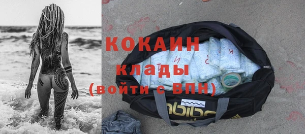 ПСИЛОЦИБИНОВЫЕ ГРИБЫ Богданович
