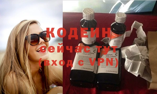 ПСИЛОЦИБИНОВЫЕ ГРИБЫ Богданович