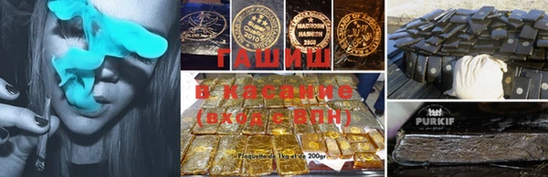 ПСИЛОЦИБИНОВЫЕ ГРИБЫ Богданович
