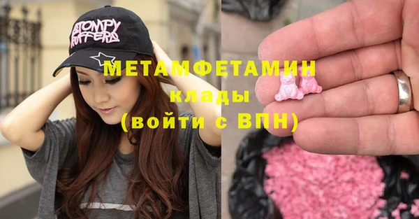 ПСИЛОЦИБИНОВЫЕ ГРИБЫ Богданович