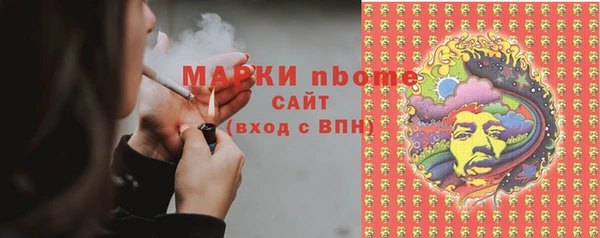 ПСИЛОЦИБИНОВЫЕ ГРИБЫ Богданович
